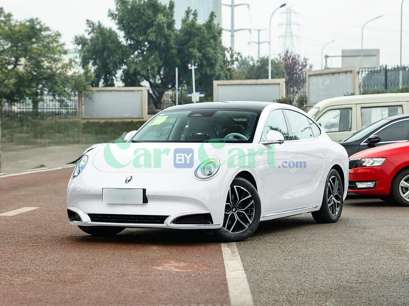 ORA ORA Lightning Cat 2025