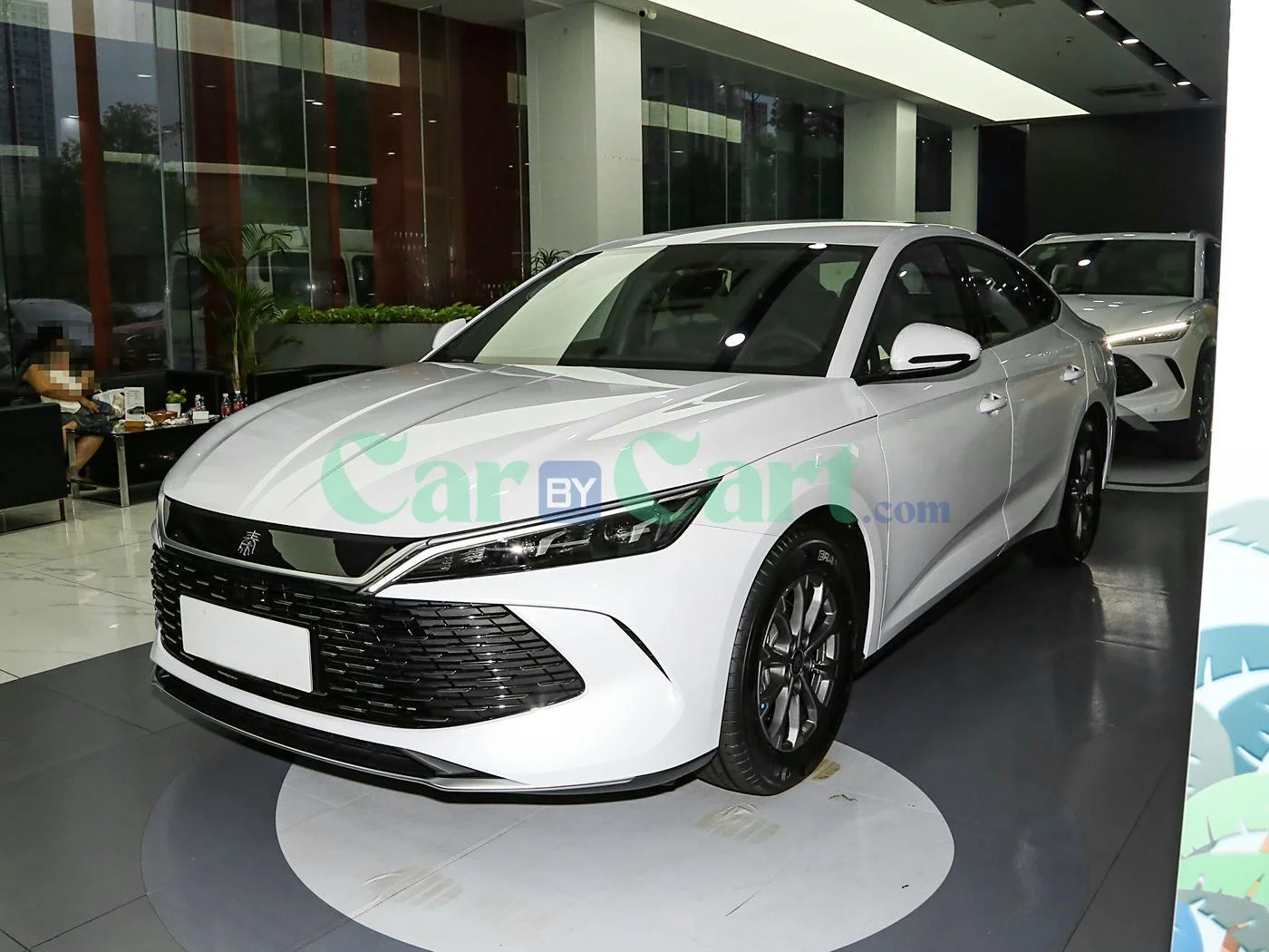 BYD QIN L DM-i 2025