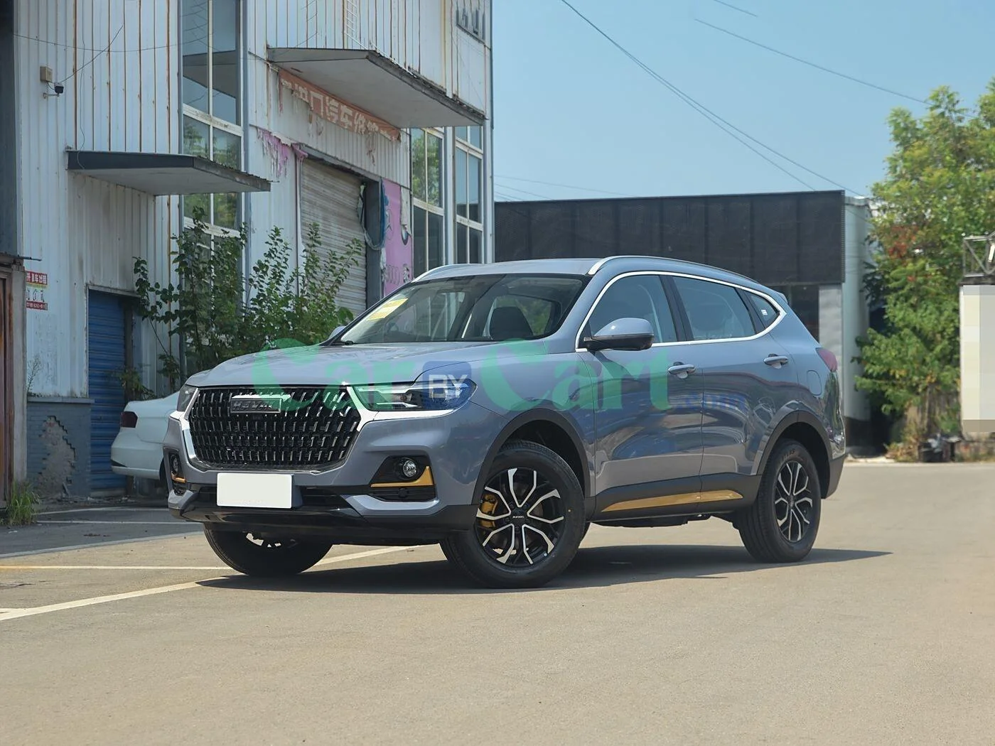 HAVAL H6 National trend 2025