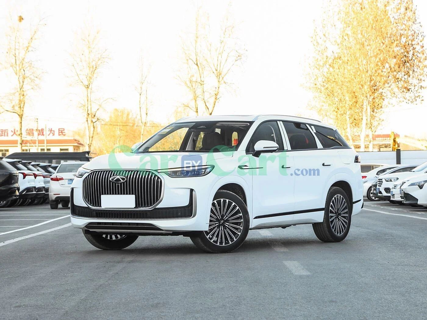 Chery Ruihu 9 C-DM 2025