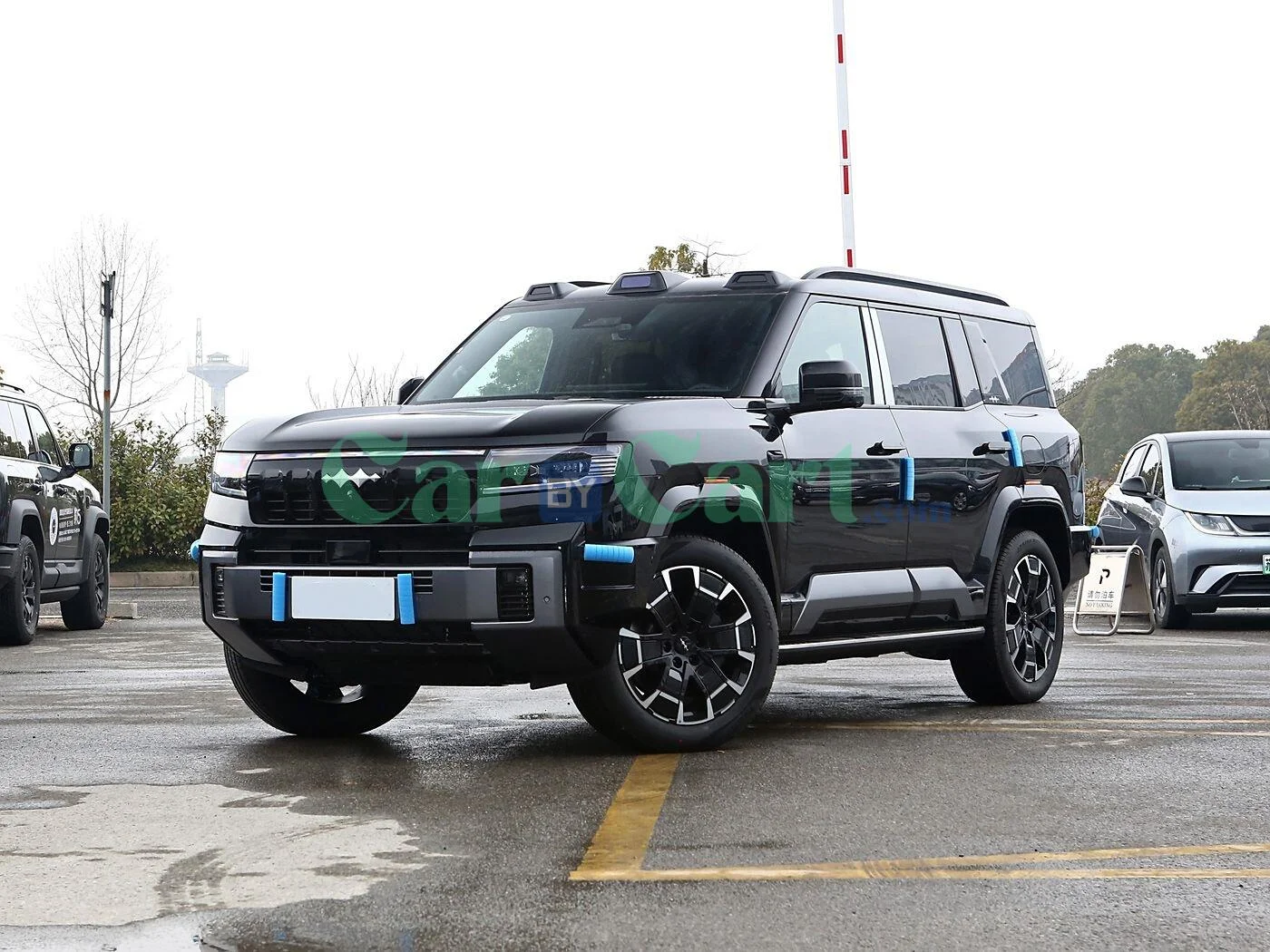 Leopard Leopard 8 2025