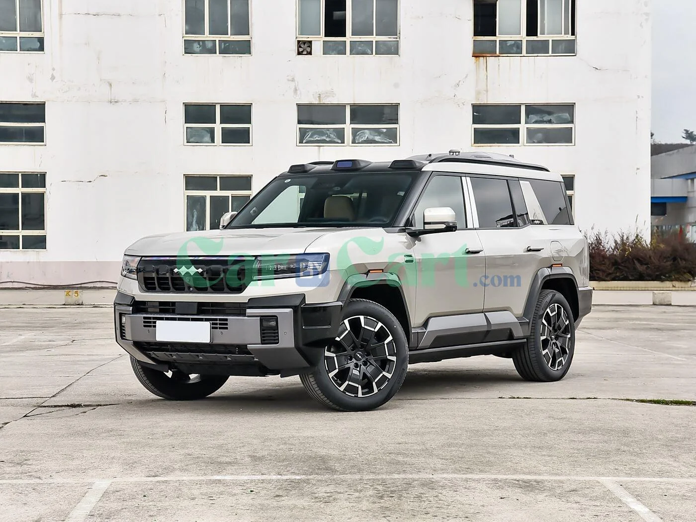 Leopard Leopard 8 2025