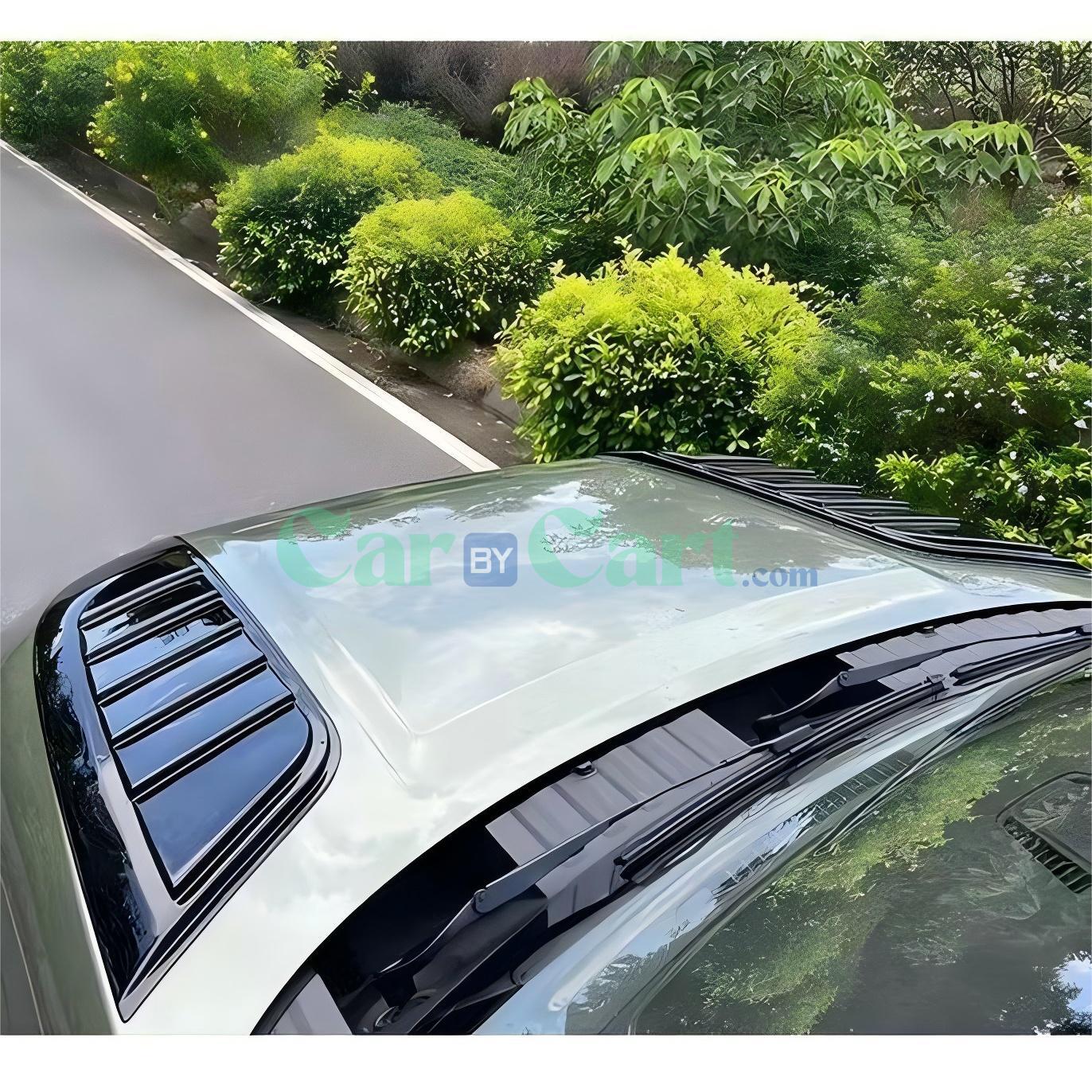 بوليستونيس 01 هود هود