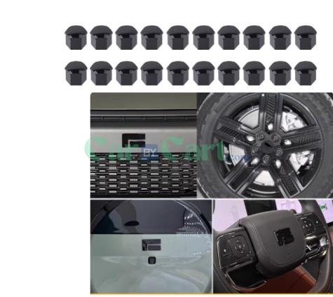 2025 ROX 01 Car emblem logo