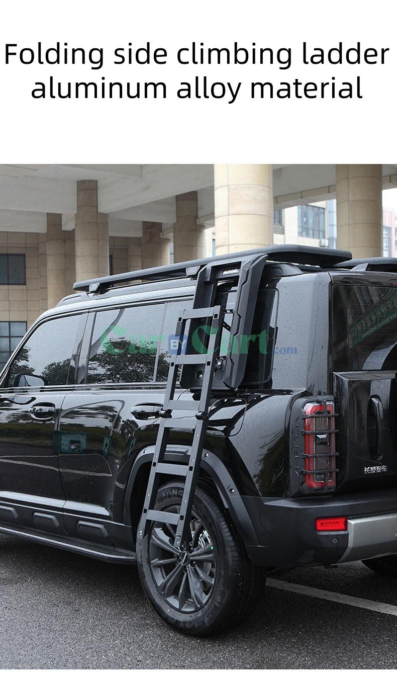 2025 TANK 300 aluminum ladder